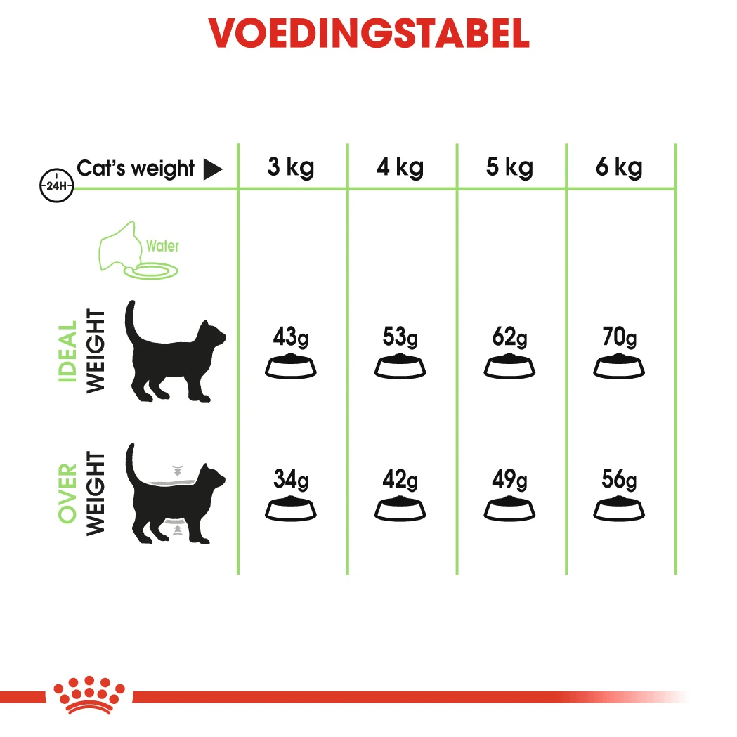 Royal Canin Digestive Care Kattenvoer 4kg 12 Royal Canin Digestive Care Kattenvoer 4kg - Afbeelding 12