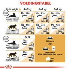 Royal Canin Maine Coon 4kg -Huisdier Product Winkel 0374080cfca08fe20f539e96d88e2c71905e60c2a86c3e53d2e53651b190e5fc 1
