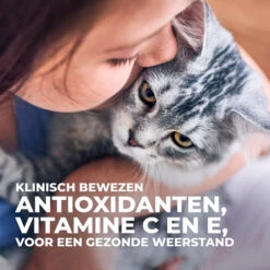 Hill's Science Plan Kitten Sterilised Kip 3kg -Huisdier Product Winkel 052742053646 7 NL
