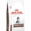 Royal Canin Gastro Intestinal Junior - Hondenvoer - 10kg
