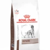 Royal Canin Hepatic - Hondenvoer - 12kg