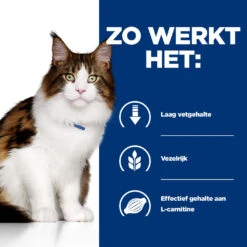 Hill's Prescription Diet W/d Multi-benefit Kattenvoer Met Kip 3kg 9 Hill's Prescription Diet W/d Multi-benefit Kattenvoer Met Kip 3kg -Huisdier Product Winkel 52742042251 2 NL