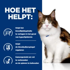 Hill's Prescription Diet W/d Multi-benefit Kattenvoer Met Kip 3kg 10 Hill's Prescription Diet W/d Multi-benefit Kattenvoer Met Kip 3kg -Huisdier Product Winkel 52742042251 3 NL