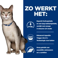 Hill's Prescription Diet K/d Kidney Care Kattenvoer Met Kip 8kg -Huisdier Product Winkel 52742043746 2 NL