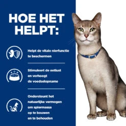 Hill's Prescription Diet K/d Kidney Care Kattenvoer Met Kip 8kg -Huisdier Product Winkel 52742043746 3 NL