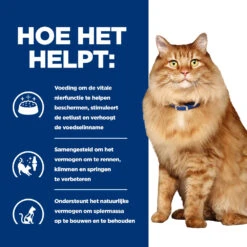 Hill's Prescription Diet K/d + Mobility Kattenvoer Met Kip 3kg -Huisdier Product Winkel 52742044767 3 NL