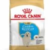 Royal Canin Golden Retriever Puppy - Hondenvoer - 3kg