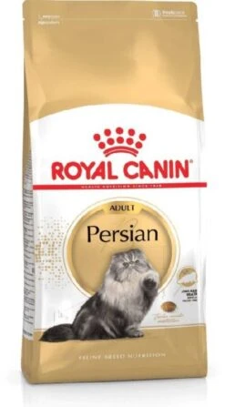 Nieuwe Producten 1 Royal Canin Persian 30 - Kattenvoer - 2kg