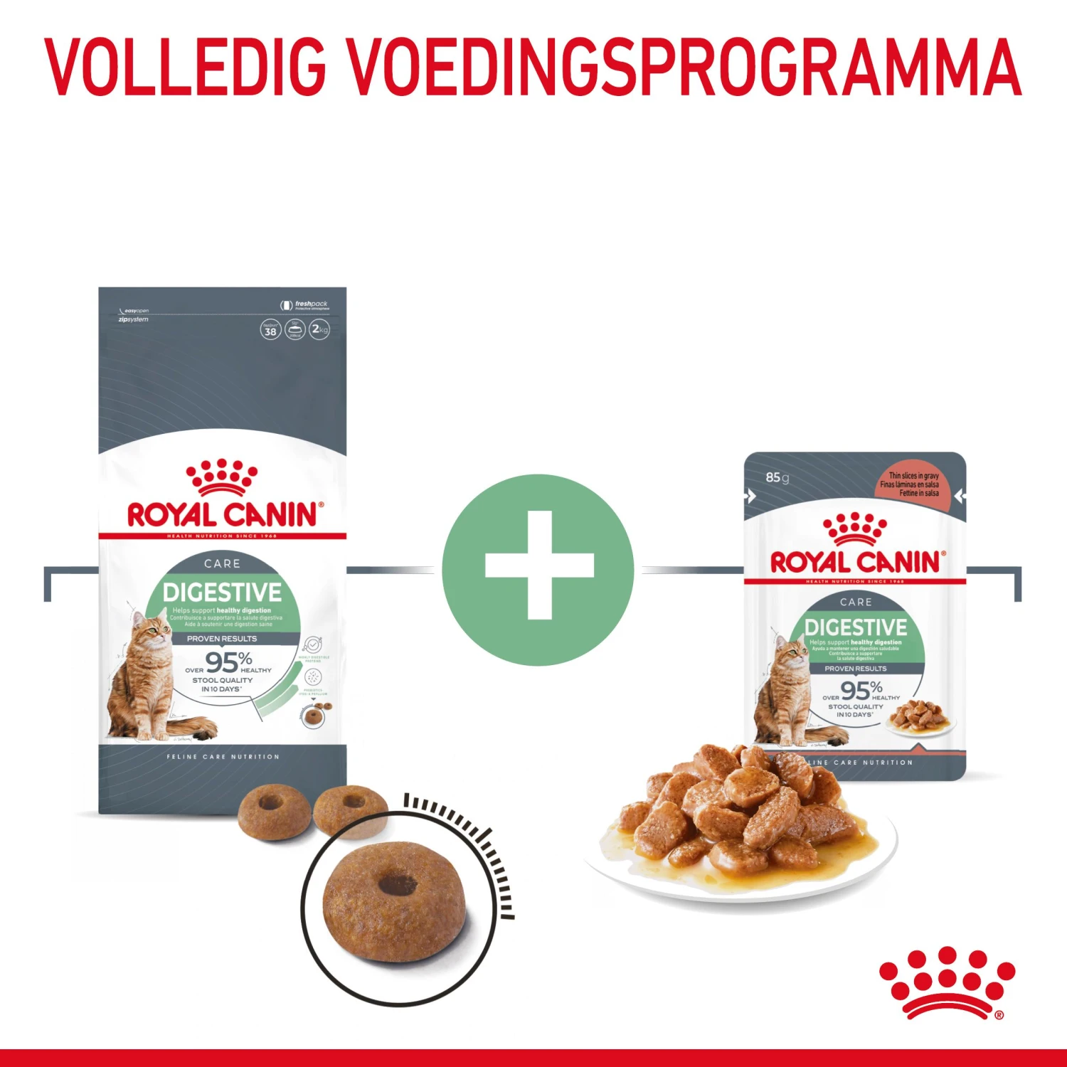 Royal Canin Digestive Care Kattenvoer 4kg 4 Royal Canin Digestive Care Kattenvoer 4kg - Afbeelding 4