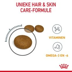 Royal Canin Hair & Skin Care Kattenvoer 4kg 16 Royal Canin Hair & Skin Care Kattenvoer 4kg -Huisdier Product Winkel Royal Canin Hair Skin Care Kat NL 05