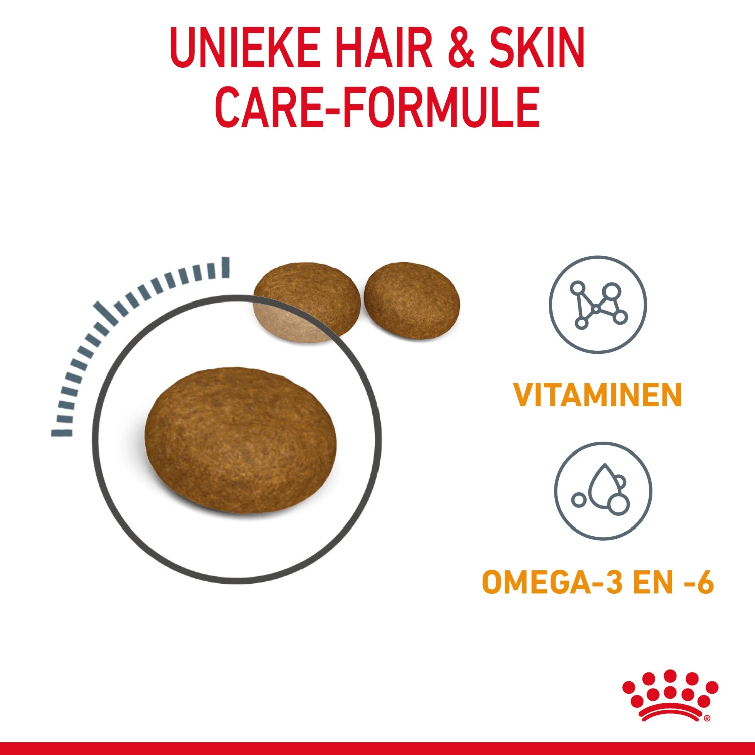 Royal Canin Hair & Skin Care Kattenvoer 4kg 5 Royal Canin Hair & Skin Care Kattenvoer 4kg - Afbeelding 5