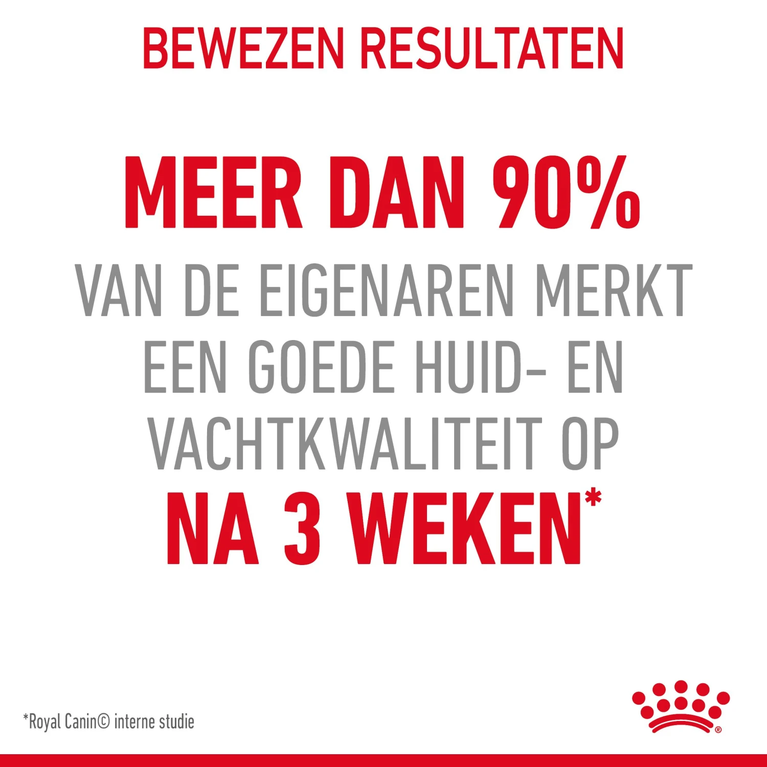 Royal Canin Hair & Skin Care Kattenvoer 4kg 6 Royal Canin Hair & Skin Care Kattenvoer 4kg - Afbeelding 6