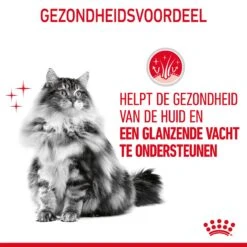 Royal Canin Hair & Skin Care Kattenvoer 4kg 18 Royal Canin Hair & Skin Care Kattenvoer 4kg -Huisdier Product Winkel Royal Canin Hair Skin Care Kat NL 07
