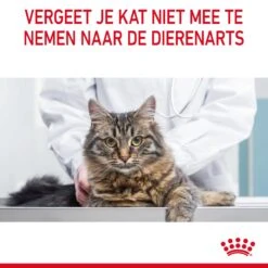 Royal Canin Light Weight Care Natvoer In Jelly Kattenvoer 12x85g 24 Royal Canin Light Weight Care Natvoer In Jelly Kattenvoer 12x85g -Huisdier Product Winkel Royal Canin Light Weight Care Jelly Kat NL 13