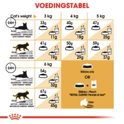 Royal Canin Persian 30 - Kattenvoer - 2kg 11 Royal Canin Persian 30 - Kattenvoer - 2kg -Huisdier Product Winkel Royal Canin Persian NL 7 Dosage