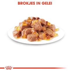 Royal Canin Sterilised In Jelly Kattenvoer 12x85g -Huisdier Product Winkel Royal Canin Sterilised Jelly Kat NL 4