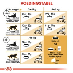 Royal Canin British Shorthair 34 - Kattenvoer - 4kg -Huisdier Product Winkel a4363570baf82f21217761fdd4296e3ab9b6efa1ffe95d74cb854420bb592bb1 1