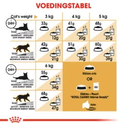 Royal Canin Siamese 38 - Kattenvoer - 4kg 5 Royal Canin Siamese 38 - Kattenvoer - 4kg -Huisdier Product Winkel c34745f78a51d5f31623226b4ca1141d392d19bbeb2838cf5a33583de24ae12b 1