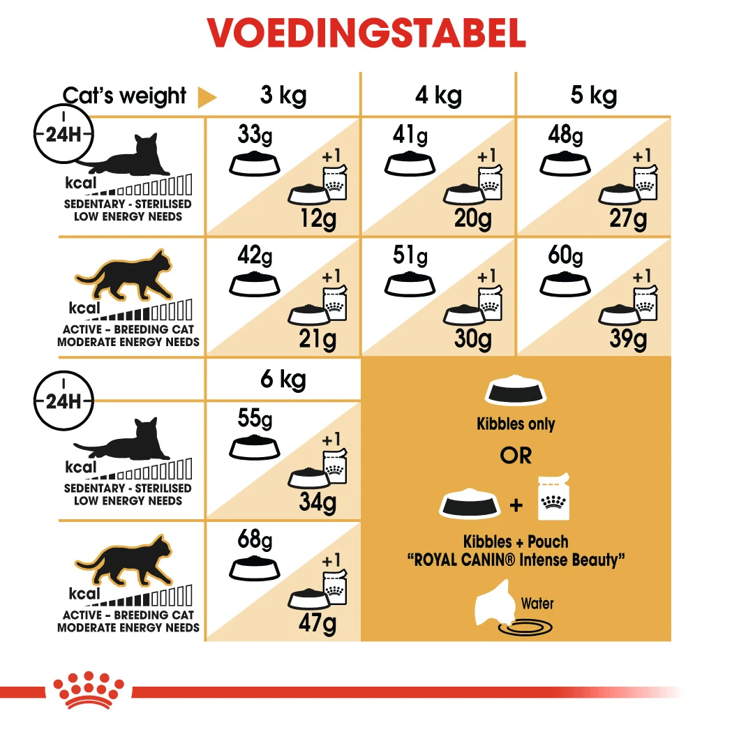 Royal Canin Siamese 38 - Kattenvoer - 4kg 3 Royal Canin Siamese 38 - Kattenvoer - 4kg - Afbeelding 3