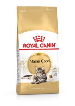 Royal Canin Maine Coon 31 - Kattenvoer - 10kg
