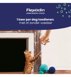 Flexadin Cat - 60 Chews 5 Flexadin Cat - 60 Chews -Huisdier Product Winkel flexadin cat 60 chews 1