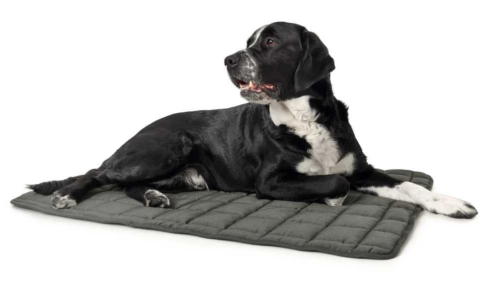 Hunter Hondendeken Hamilton 1 Hunter Hondendeken Hamilton