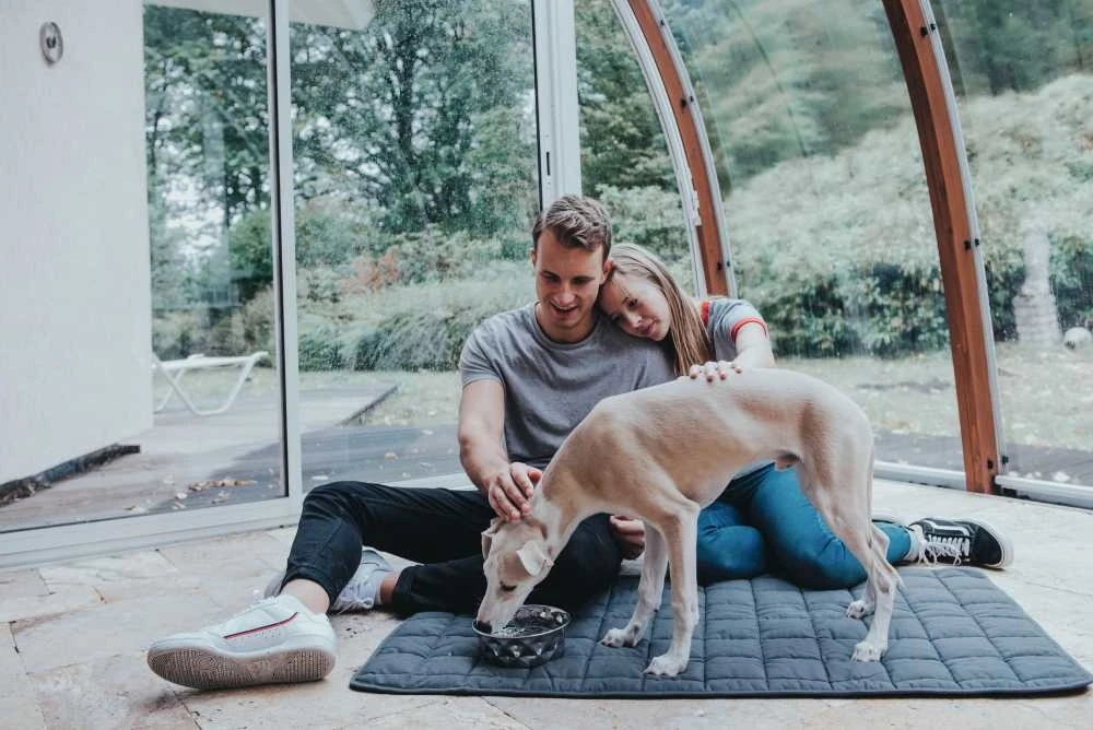 Hunter Hondendeken Hamilton 4 Hunter Hondendeken Hamilton - Afbeelding 4