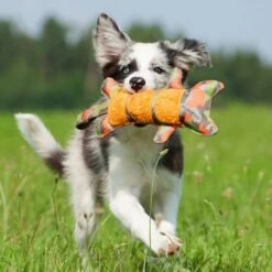 Major Dog Hondenspeelgoed Tiger