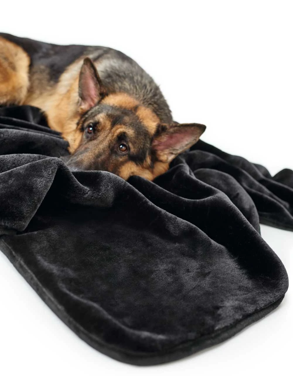 Hunter Hondendeken Konstanz Zwart 1 Hunter Hondendeken Konstanz Zwart