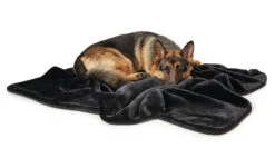 Hunter Hondendeken Konstanz Zwart 6 Hunter Hondendeken Konstanz Zwart -Huisdier Product Winkel image 1027