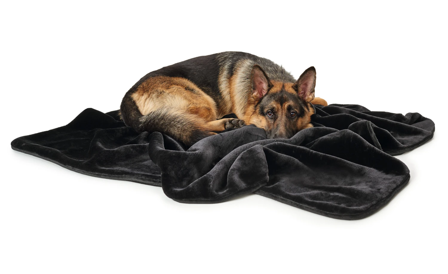 Hunter Hondendeken Konstanz Zwart 3 Hunter Hondendeken Konstanz Zwart - Afbeelding 3