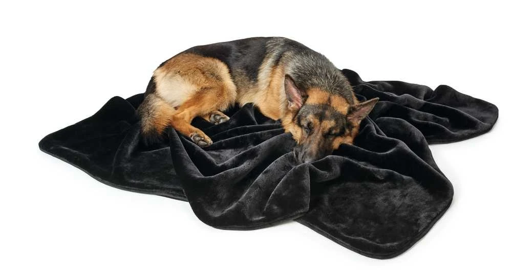 Hunter Hondendeken Konstanz Zwart 4 Hunter Hondendeken Konstanz Zwart - Afbeelding 4