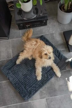 TrendPet Hondendeken Harmony Grijs -Huisdier Product Winkel image 1046