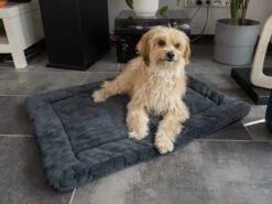 TrendPet Hondendeken Harmony Grijs -Huisdier Product Winkel image 1047