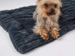 TrendPet Hondendeken Harmony Grijs -Huisdier Product Winkel image 1048