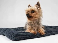 TrendPet Hondendeken Harmony Grijs -Huisdier Product Winkel image 1049