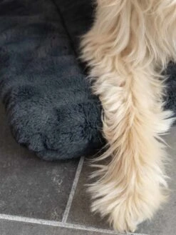 TrendPet Hondendeken Harmony Grijs -Huisdier Product Winkel image 1050