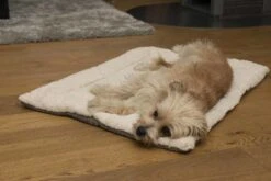 TrendPet Hondendeken Heaven Beige -Huisdier Product Winkel image 1060