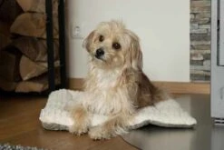 TrendPet Hondendeken Heaven Beige -Huisdier Product Winkel image 1061