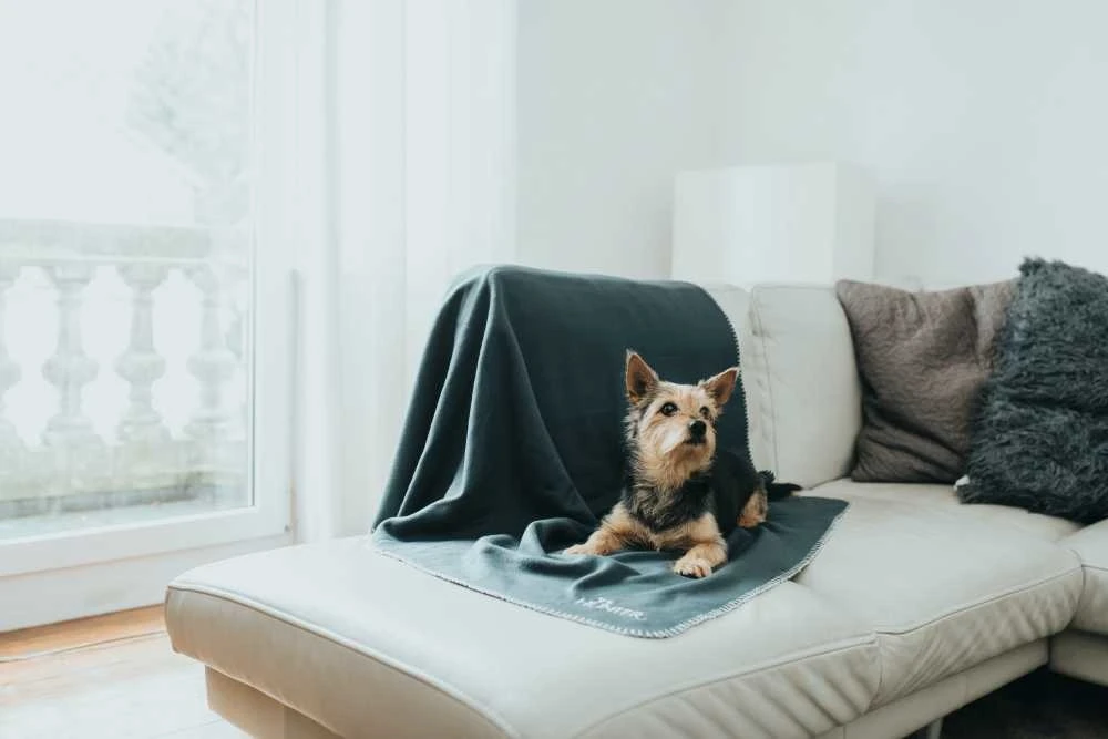 Hunter Hondendeken Casper Antraciet 1 Hunter Hondendeken Casper Antraciet