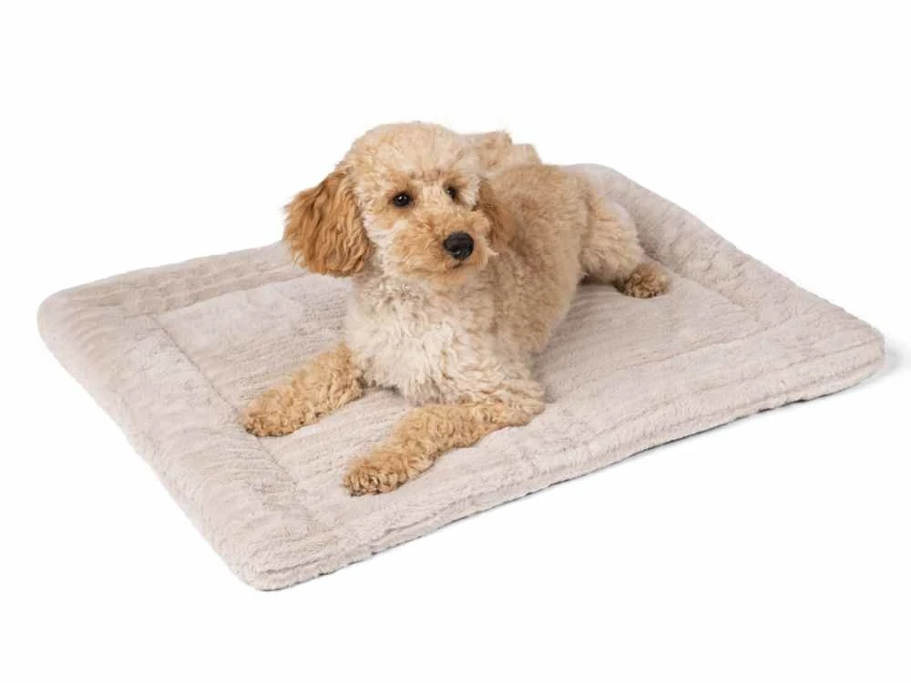 TrendPet Hondendeken Harmony Beige 3 TrendPet Hondendeken Harmony Beige - Afbeelding 3