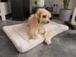 TrendPet Hondendeken Harmony Beige 13 TrendPet Hondendeken Harmony Beige -Huisdier Product Winkel image 1078