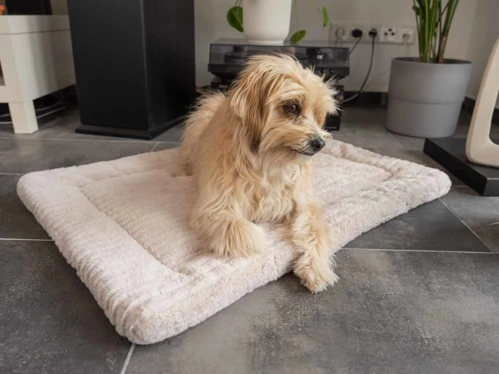 TrendPet Hondendeken Harmony Beige 6 TrendPet Hondendeken Harmony Beige - Afbeelding 6