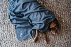 Hunter Hondendeken Casper Blauw -Huisdier Product Winkel image 1093