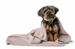 Hunter Hondendeken Casper Crème