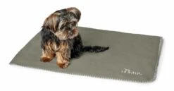 Hunter Hondendeken Casper Groen -Huisdier Product Winkel image 1106