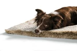 Hunter Hondendeken Astana Beige 8 Hunter Hondendeken Astana Beige -Huisdier Product Winkel image 1114