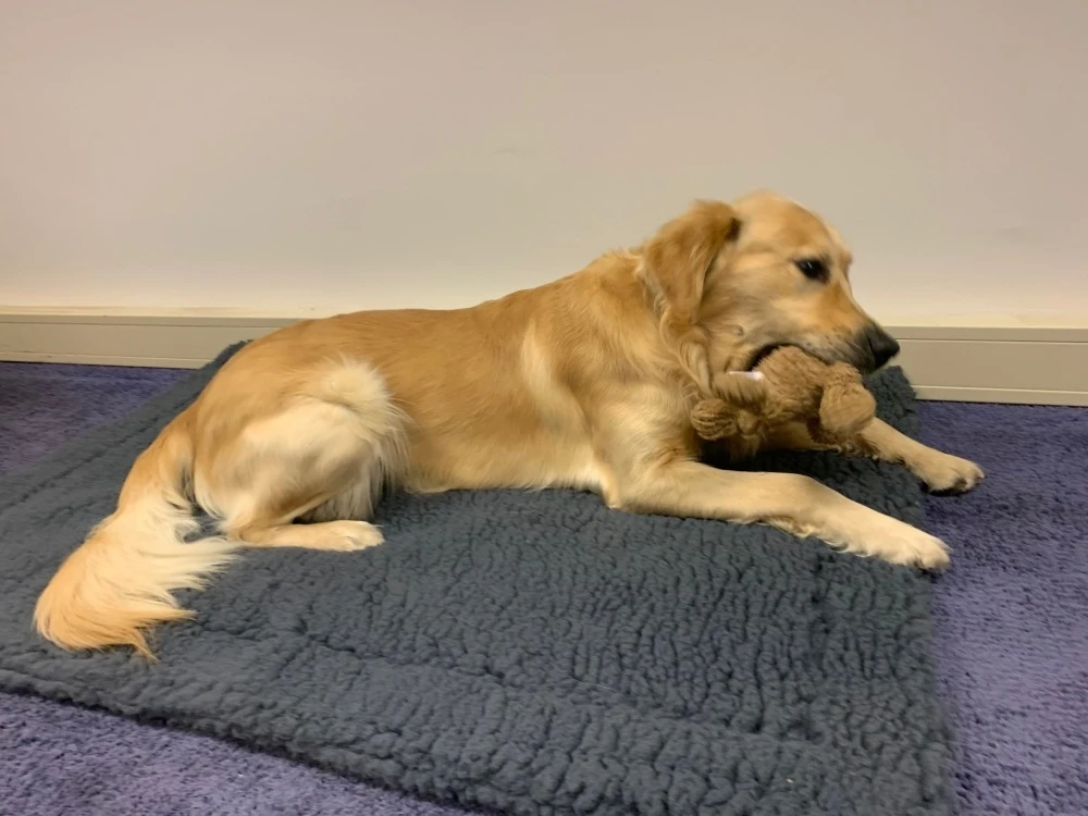 Hugglehounds Fleece Mat Grijs 1 Hugglehounds Fleece Mat Grijs