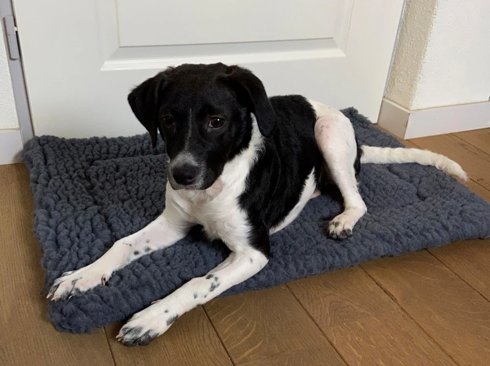 Hugglehounds Fleece Mat Grijs 4 Hugglehounds Fleece Mat Grijs - Afbeelding 4