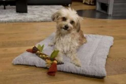 TrendPet Hondendeken Heaven Grijs -Huisdier Product Winkel image 1125